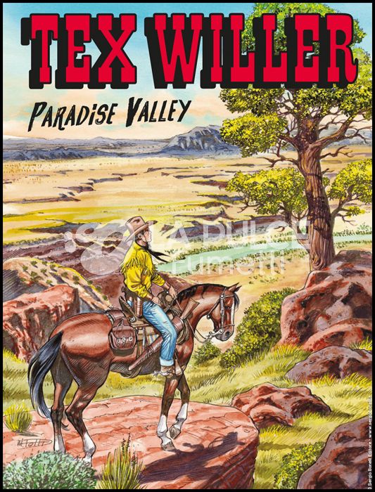 TEX WILLER #    14: PARADISE VALLEY