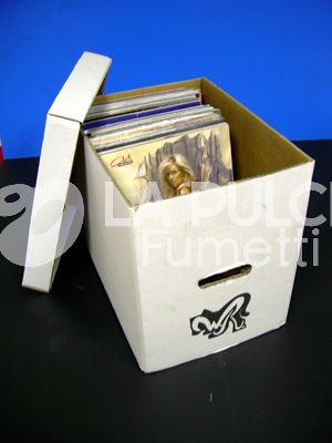 SCATOLA PER VINILE 45 GIRI - (LUNGHEZZA 35 - LARGHEZZA 19,5 - ALTEZZA 20,3)