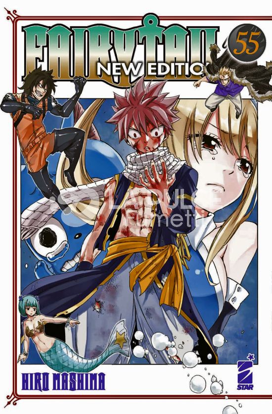 BIG #    71 - FAIRY TAIL NEW EDITION 55
