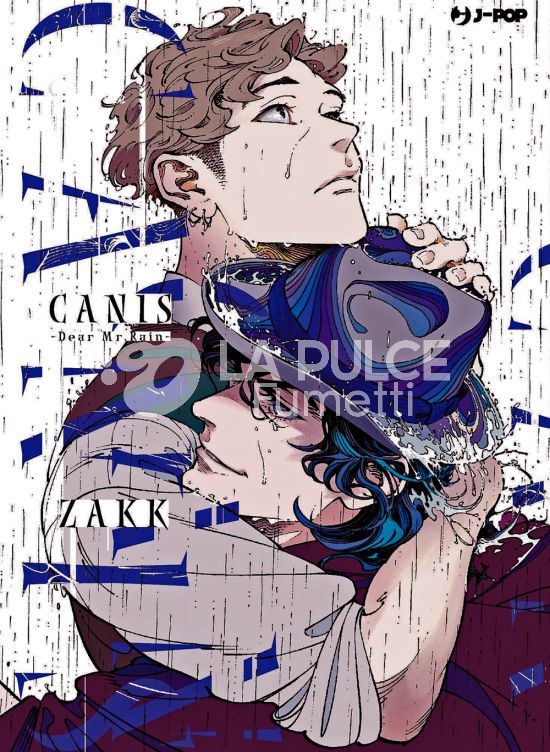 CANIS #     0 - DEAR MR. RAIN