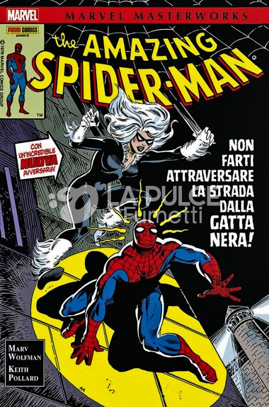 MARVEL MASTERWORKS - SPIDER-MAN #    19