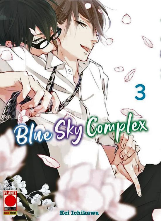 BLUE SKY COMPLEX #     3