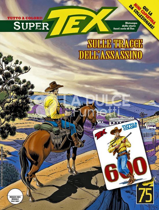 SUPER TEX #    19: SULLE TRACCE DELL'ASSASSINO - MINI COPERTINE COVER B (TEX 600)