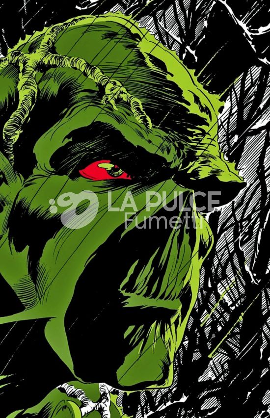 DC ABSOLUTE - SWAMP THING DI WEIN E WRIGHTSON