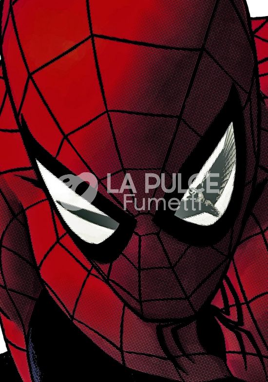 AMAZING SPIDER-MAN: LA SFIDA - COFANETTO COMPLETO - VOLUMI 1-2