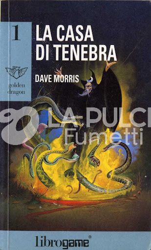 GOLDEN DRAGON #     1: LA CASA DI TENEBRA LIBRO GAME
