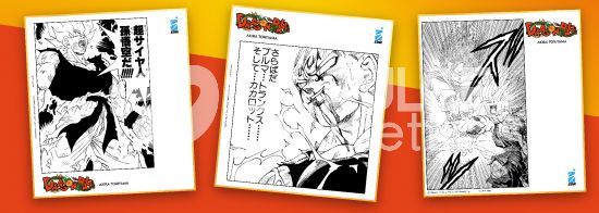 SHIKISHI DRAGON BALL Z EDIZIONE FUMETTERIA B&N 1/3 COMPLETA