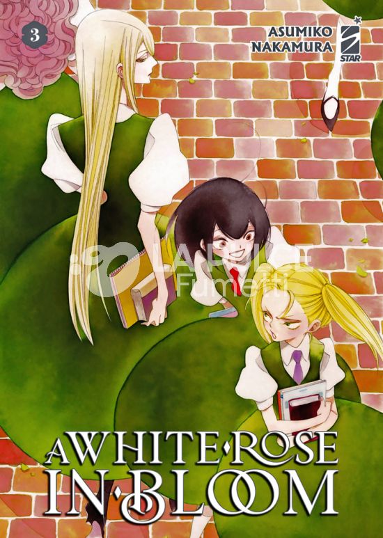 QUEER LABEL #     8 - A WHITE ROSE IN BLOOM 3