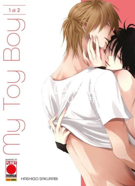 MY TOY BOY 1/2 COMPLETA NUOVI
