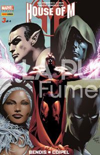 MARVEL MINISERIE #    71 - HOUSE OF M  3