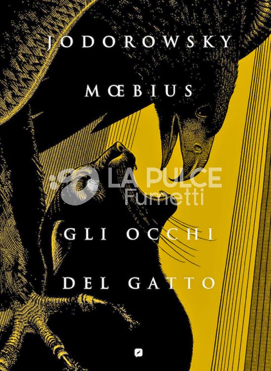 GLI OCCHI DEL GATTO