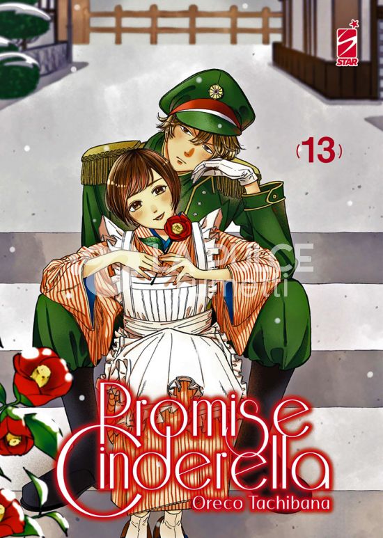AMICI #   323 - PROMISE CINDERELLA 13