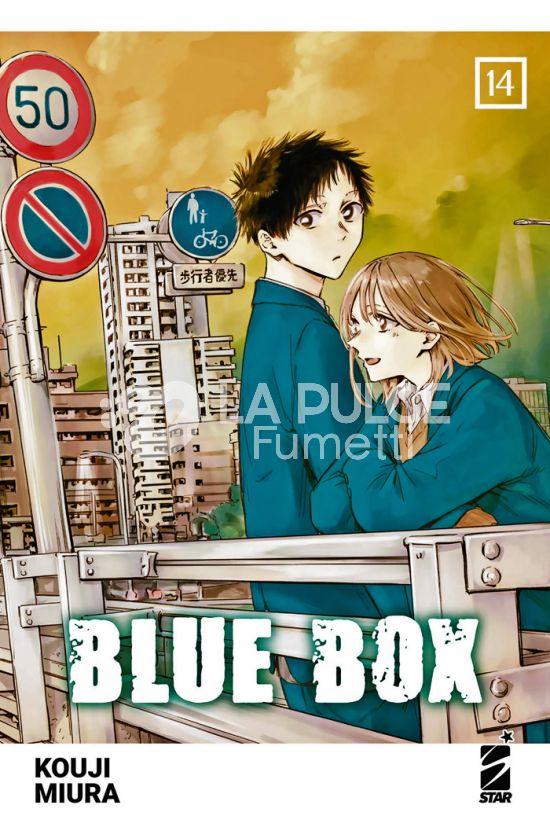 UP #   251 - BLUE BOX 14