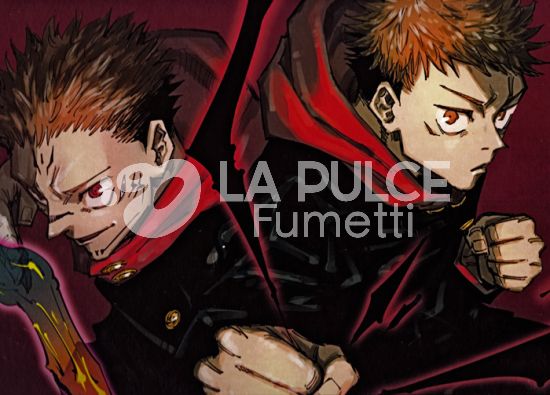 JUJUTSU KAISEN COFANETTO + JUJUTSU KAISEN 29 E 30 STANDARD + POSTER + BOOKLET