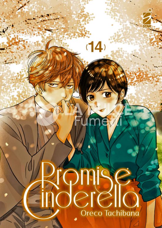 AMICI #   327 - PROMISE CINDERELLA 14