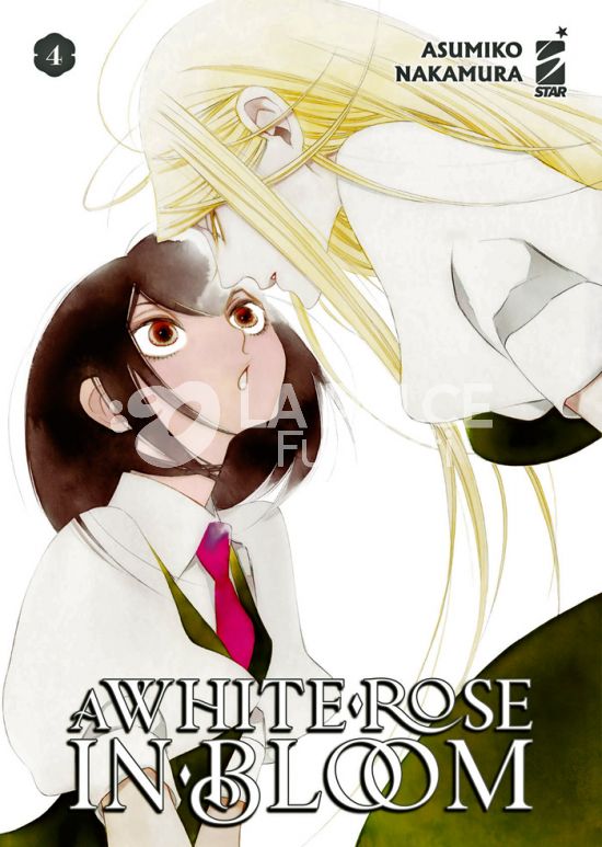 QUEER LABEL #    36 - A WHITE ROSE IN BLOOM 4