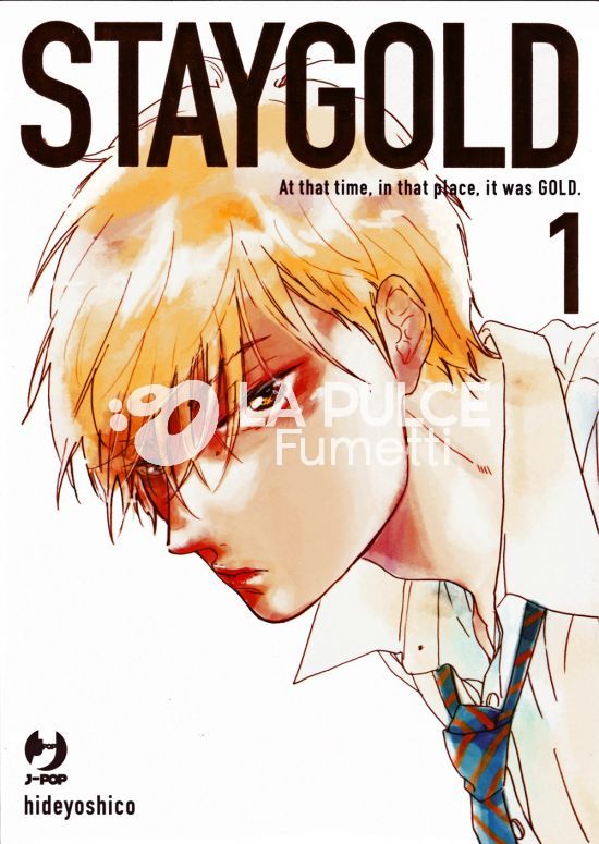 STAYGOLD 1/6 COMPLETA NUOVI