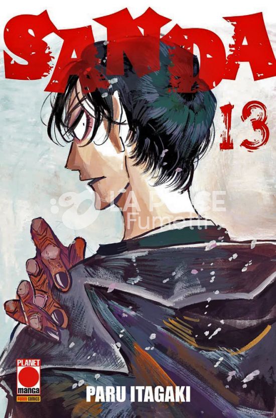 SANDA #    13