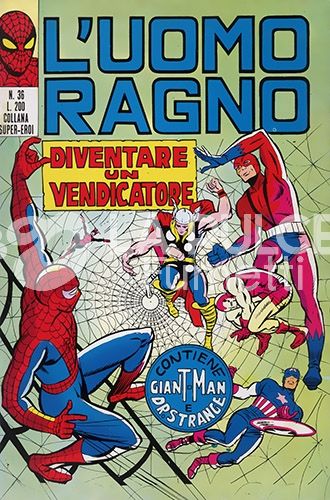 UOMO RAGNO #    36: DIVENTARE UN VENDICATORE