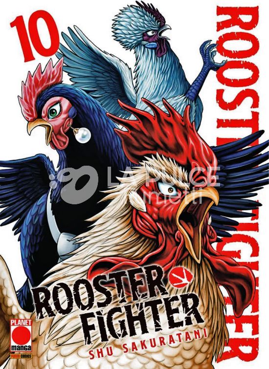 ROOSTER FIGHTER #    10
